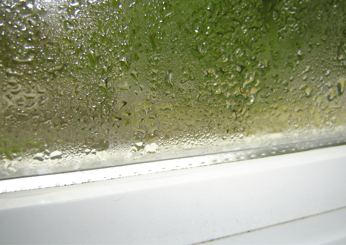 How To Stop Condensation Being Created By A Laundry Dryer? slow foraged home